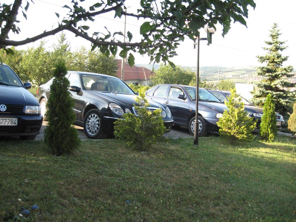 B&B Vila Vidikovac Arandjelovac Bagian luar foto