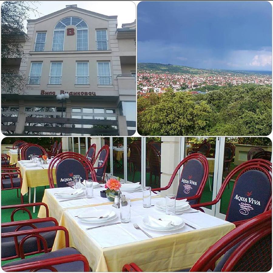 B&B Vila Vidikovac Arandjelovac Bagian luar foto